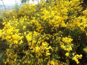 Promenade en pleine nature, le 15 mai 2016