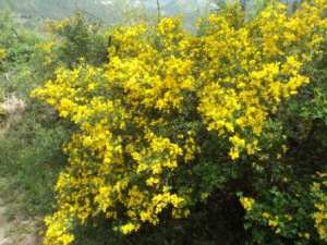 Promenade en pleine nature, le 15 mai 2016