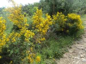Promenade en pleine nature, le 15 mai 2016