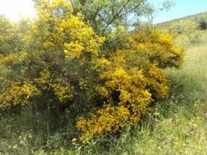 Promenade en pleine nature, le 15 mai 2016