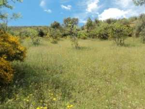 Promenade en pleine nature, le 15 mai 2016