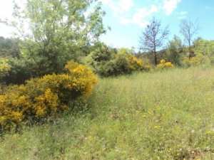 Promenade en pleine nature, le 15 mai 2016
