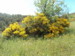 Promenade en pleine nature, le 15 mai 2016