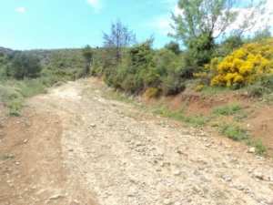 Promenade en pleine nature, le 15 mai 2016