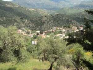 Promenade en pleine nature, le 15 mai 2016