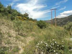 Promenade en pleine nature, le 15 mai 2016