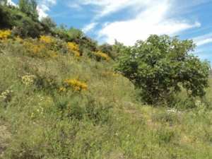 Promenade en pleine nature, le 15 mai 2016