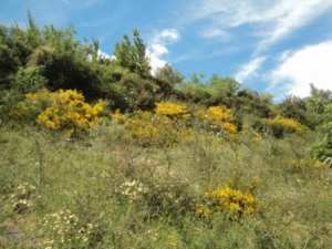 Promenade en pleine nature, le 15 mai 2016