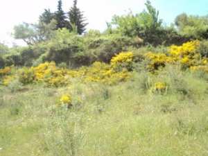 Promenade en pleine nature, le 15 mai 2016