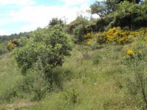 Promenade en pleine nature, le 15 mai 2016