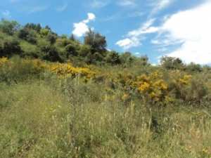 Promenade en pleine nature, le 15 mai 2016