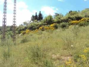 Promenade en pleine nature, le 15 mai 2016