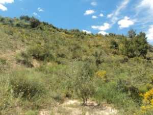 Promenade en pleine nature, le 15 mai 2016