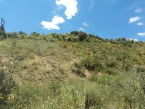 Promenade en pleine nature, le 15 mai 2016