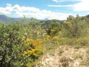 Promenade en pleine nature, le 15 mai 2016