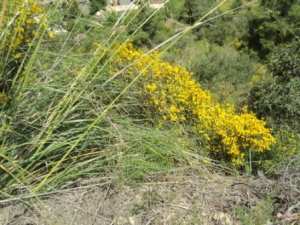 Promenade en pleine nature, le 15 mai 2016