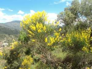 Promenade en pleine nature, le 15 mai 2016