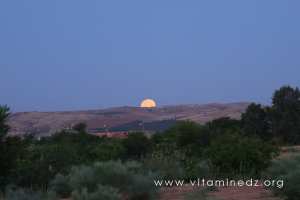 Coucher de lune à Yellel ... 5h35 du matin