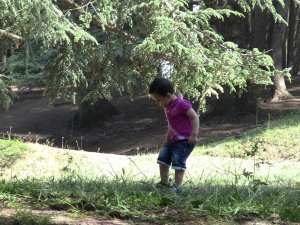 protégeons la nature et l'environnement