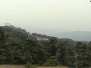 Protégeons la Nature