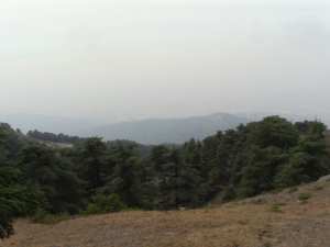 Protegeons la Nature