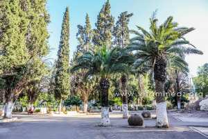 Tlemcen - Cimetière Sidi Senoussi