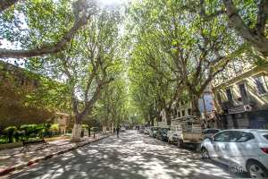 Que veut dire Tlemcen ?