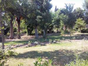 Sidi Bel Abbès -  Le jardin public rouvre ses portes
