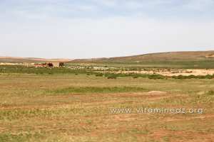 Commune de Boualem, Wilaya d\'El Bayadh