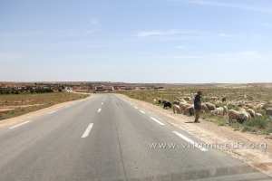 Commune de Brida (Wilaya de Laghouat)