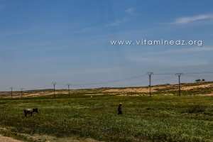 Commune de Taouiala (Wilaya de Laghouat)