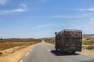Commune de Taouiala (Wilaya de Laghouat)
