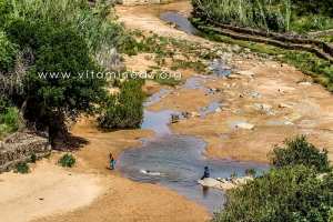 Enfants nageant dans une guelta - Jardins cachés d\'El Ghicha (Wilaya de Laghouat)