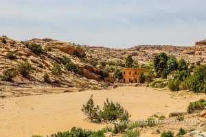 Moulin et Jardins cachés d\'El Ghicha (Wilaya de Laghouat)