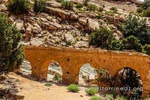 Jardins et moulin d\'El Ghicha (Wilaya de Laghouat)