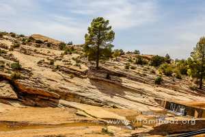 Oued El Ghicha (Wilaya de Laghouat)