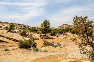 Oued El Ghicha, source de Oued M\'ZI (Wilaya de Laghouat)