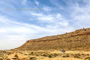 Chaine des Monts Amour, Gravures rupestres d\'El Ghicha (Aïn safsafa) Wilaya d\'El Aghwat