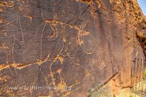 Bubale Gravures rupestres d\'El Ghicha (Aïn safsafa) Wilaya d\'El Aghwat