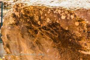 Gravures rupestres d\'El Ghicha, wilaya de Laghouat