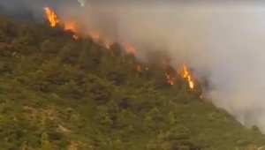 Béjaïa - Feux de forêt: Tous les foyers sont éteints