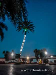 Jardin Sofia à Alger