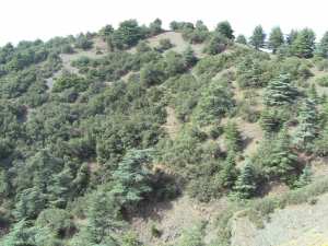 Parc National De Chrea