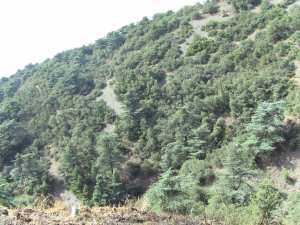 Parc National De Chrea