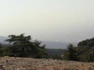 Parc National De Chrea