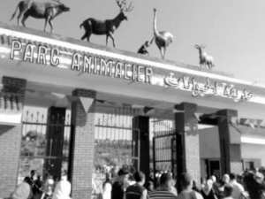 El Aouana (Jijel) - Parc animalier de Kissir: Le point de chute préféré des estivants