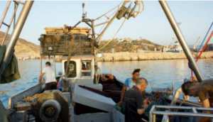 Ghazaouet (Tlemcen) - Reportage:  Sortie en mer à bord d’un sardinier