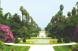 El Hamma (Alger) - JARDIN D’ESSAI:  Un musée de la nature en déperdition