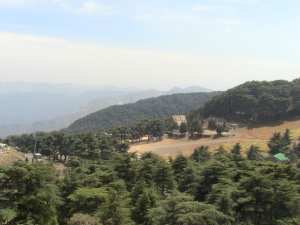 parc national de Chréa