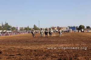 Fantasia - Waada de Sidi Lahcene (W. Sidi Bel Abbes)